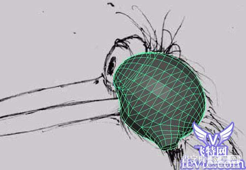 Maya建模教程：Maya鸟类建模4