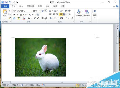 Word2010怎么提取局部的图像?3