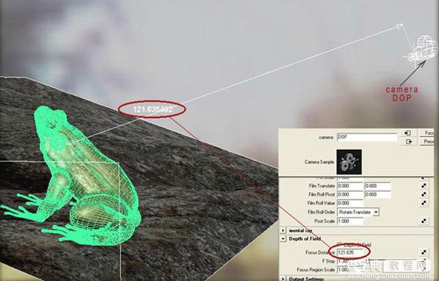 MAYA打造超真实的青蛙教程11