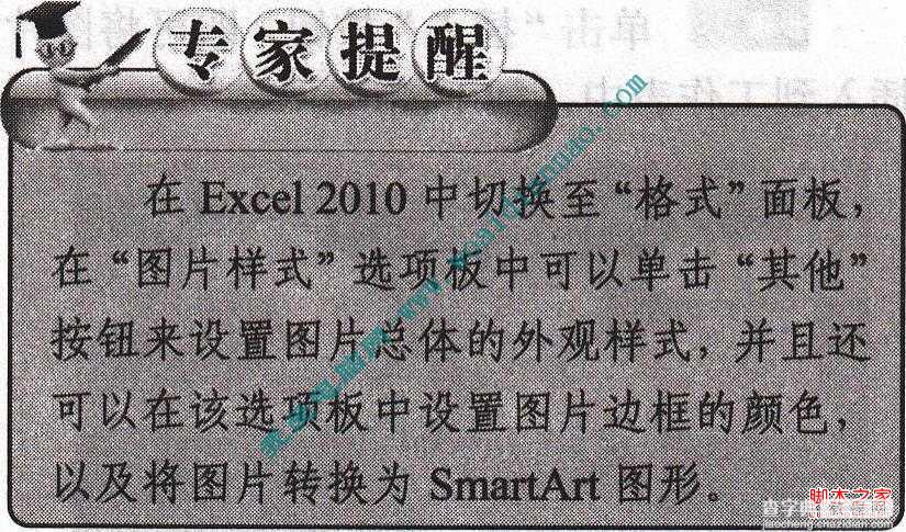 在Excel2010中设置图片属性(图片的颜色、对比度和亮度)3