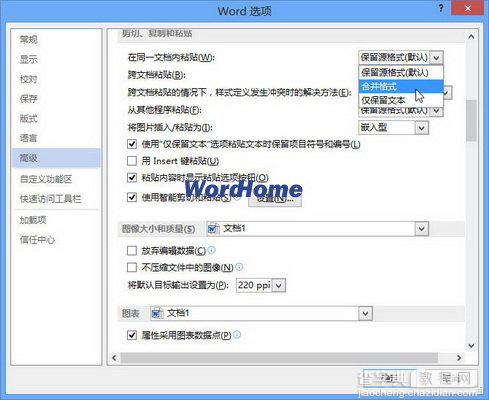 Word 2013中怎样设置同一文档内粘贴选项2