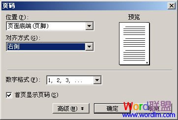 WPS文字中如何设置页码2