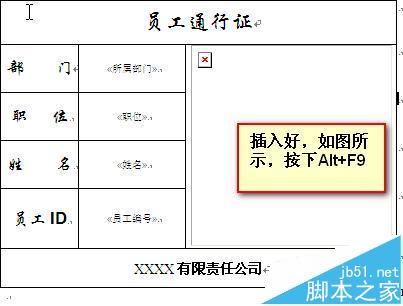 word怎么利用邮件合并功能批量制作胸卡和工作证?20