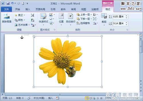 Word 2010去除图片背景技巧3