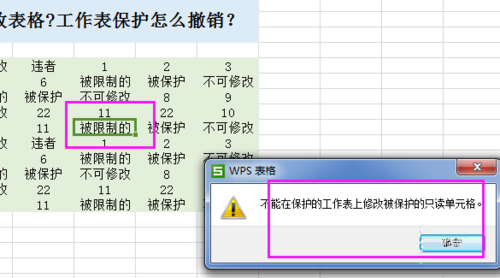 excel怎么禁止修改表格?工作表进行保护和撤销方法4