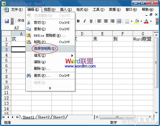 如何在Excel2003中将行中的数据复制到列中3