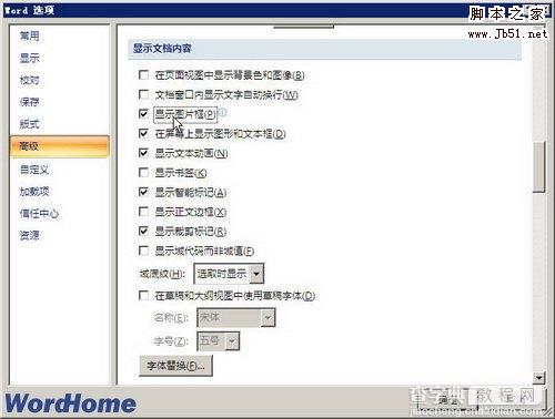 如何在Word2007文档中使用“显示图片框”功能2