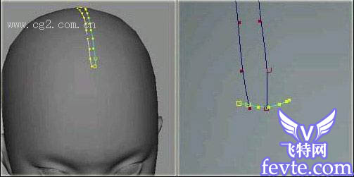 Maya制作美女头发建模教程2