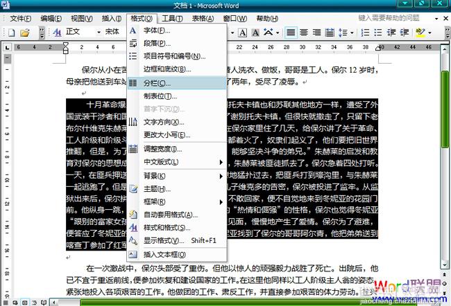 如何给word文档分栏的方法小结(word2003,word2007,word2010)8