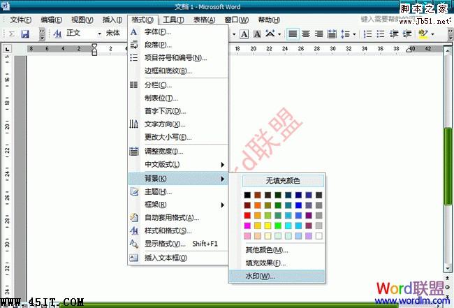 Word 2003文档中去水印的方法1