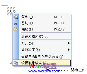 WPS文字中如何利用公式编辑器制作图形标注4