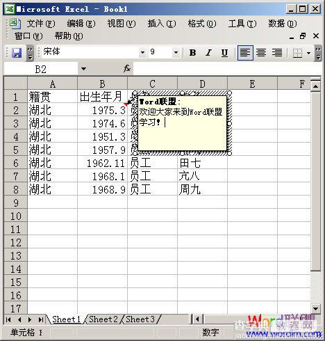 如何在Excel2003中添加单元格简介说明文字2