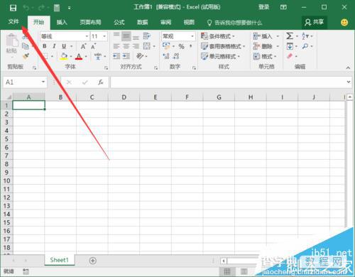 Excel2016怎么设置直接开一个空白工作簿?3
