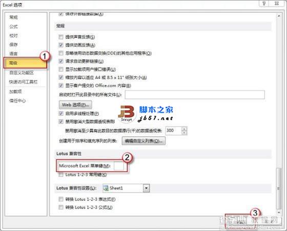 在Excel 2010中不能输入斜杠的解决方法3