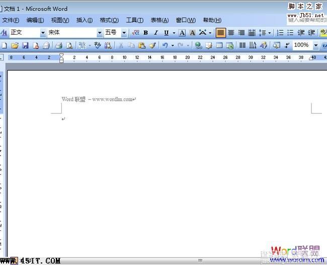 Word 2003中去掉和添加横线页眉页脚横线的方法5