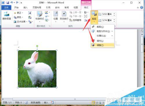 Word2010怎么提取局部的图像?6