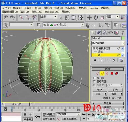 3DS MAX毛发修改器制作逼真仙人球11