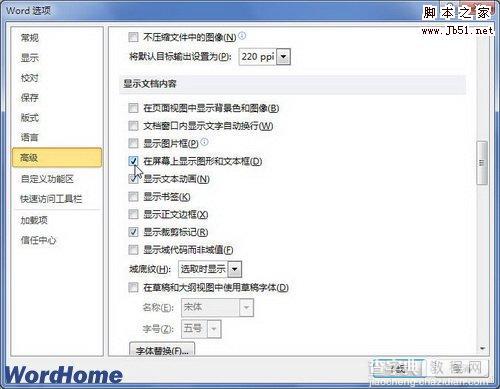 如何在Word2010文档中隐藏或显示图形和文本框2