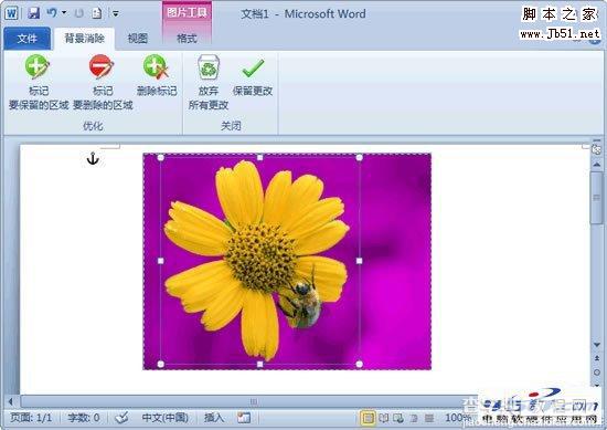 如何使用Word2010删除图片背景2