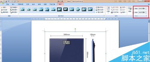 word调整图片的尺寸的几种方法介绍3