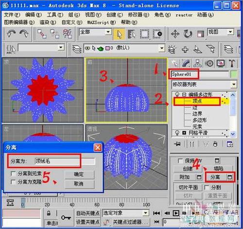 3DS MAX毛发修改器制作逼真仙人球22