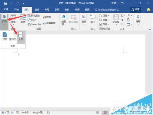 Word2016文档怎么插入分页符? Word2016分页符的使用方法4