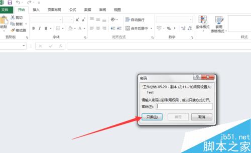 excel2013如何设置单重密码和双重密码?13