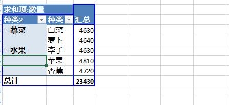Excel2013数据透视表字段分组图文步骤10