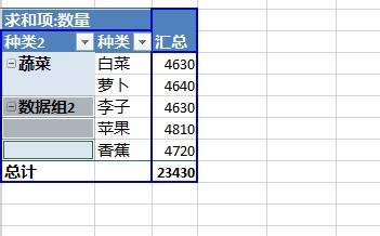 Excel2013数据透视表字段分组图文步骤9