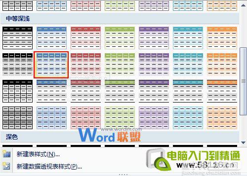 巧妙套用Excel2007表格样式快速进行数据汇总2