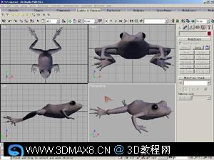 3DMAX另类贴图新概念3