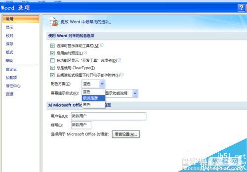 word2007如何修改外观主题样式?4