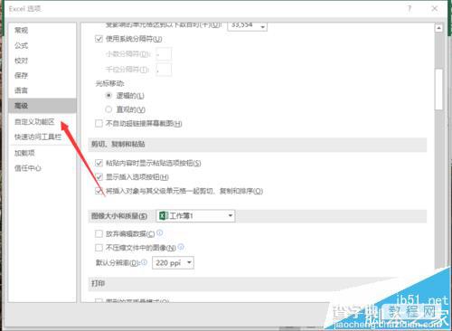 Excel2016怎么取消单元格右下角显示粘贴的选项?6