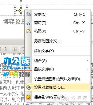 在WPS文本中如何制作个性化页眉页脚3