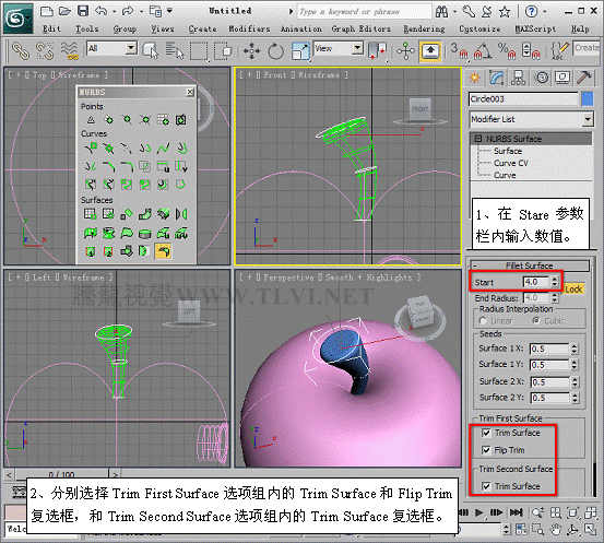 3dmax 2011 高级建模方式NURBS34