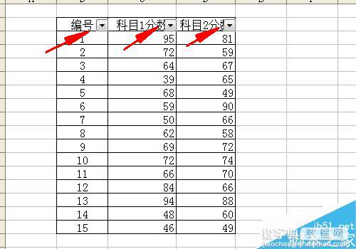 excel中筛选和条件格式的用法介绍3