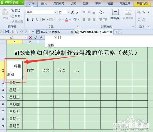 在WPS表格中快速制作带斜线的表头(单元格)6