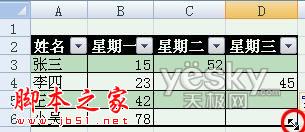 使用Excel2007自动添加表格字段标题功能的方法步骤11