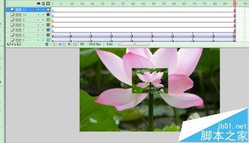 flash怎么制作图片慢慢缩小的动画?5