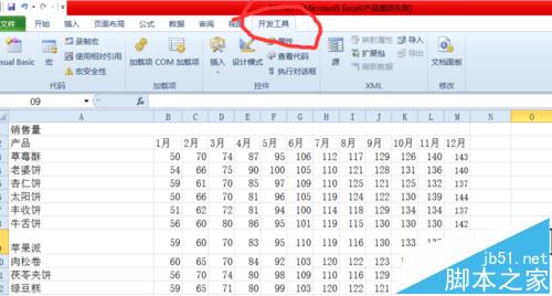 excel2010表格怎么添加开发工具菜单?6