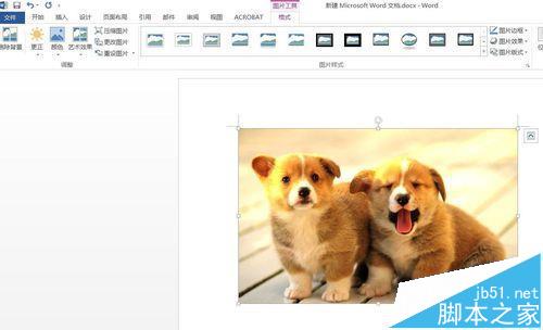 Word2016插入图片怎么调整亮度?7