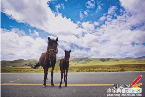 用好光线点缀照片 拍出独一无二旅拍人像技巧教程9