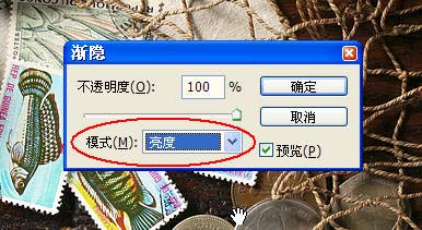 Photoshop 锐化技巧详解15