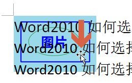 word如何选择和移动添加图片呢?5