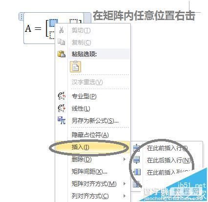 Word2010输入数学公式怎么插入矩阵?6