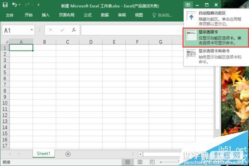 excel2016工具栏怎么显示/隐藏? excel工具栏的三种设置方法5