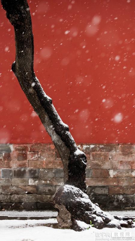 冬季来临 雪天拍照必须掌握的摄影技巧分享5