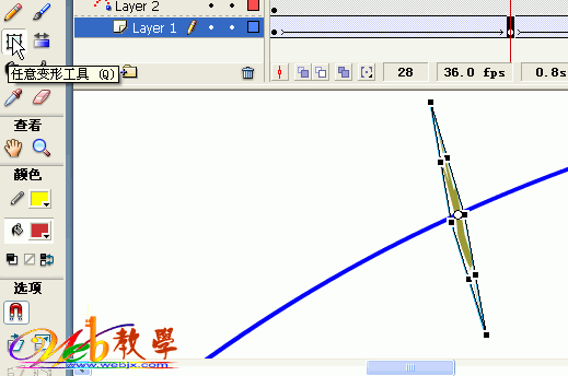 飘落的枫叶Flash动画的制作过程5