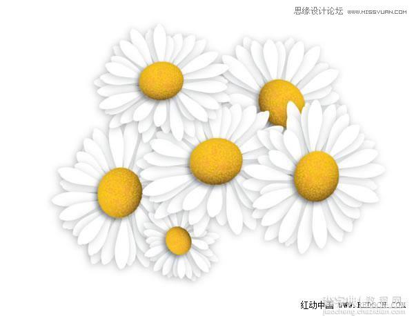 Illustrator绘制漂亮清新的白色雏菊效果图19