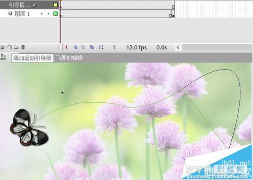flash怎么制作很多蝴蝶在在花层中翩翩起舞的动画?15